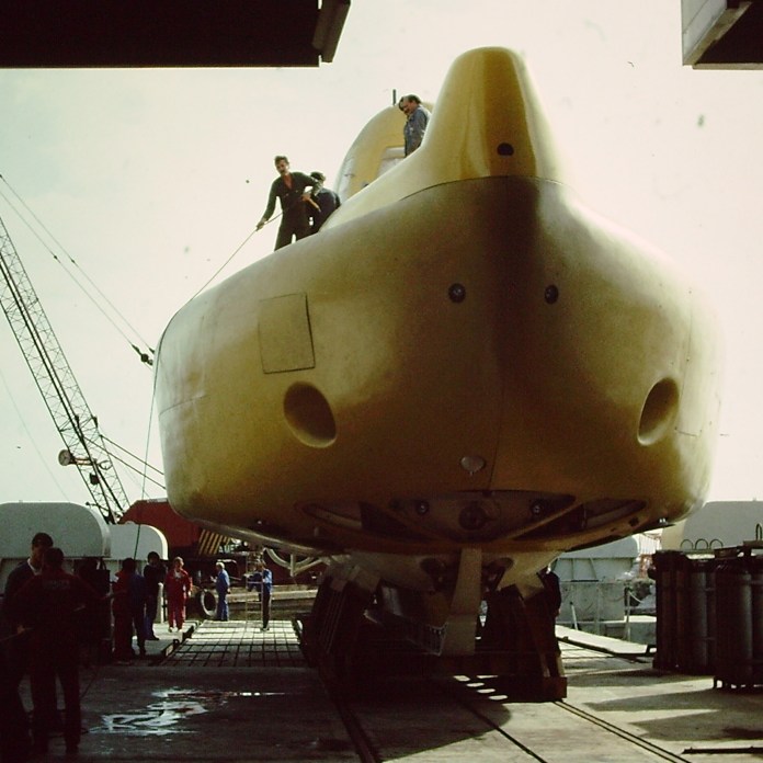 My beautiful picture