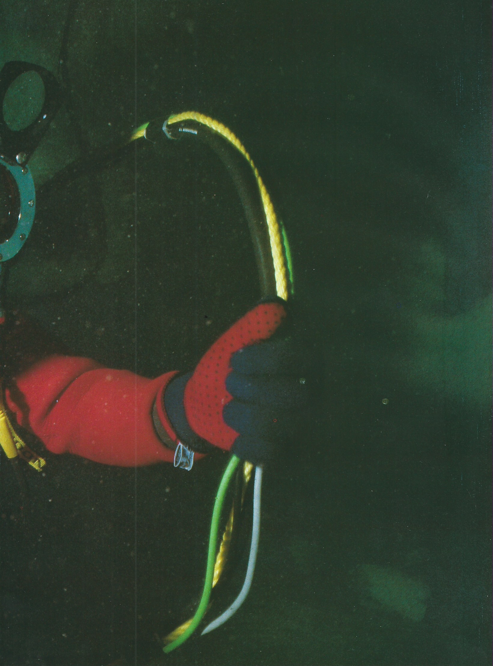 Mundo sommerso 09 90 06